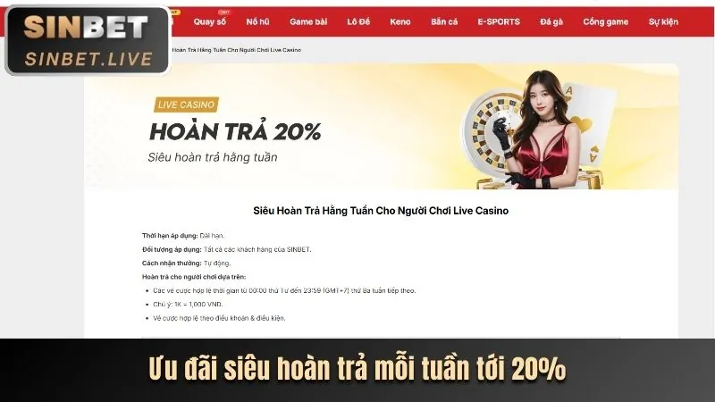 12bet Ra Mắt Tính Năng Cá Cược Trực Tiếp Mới
